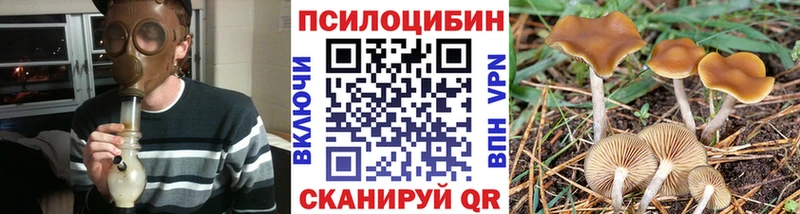 Псилоцибиновые грибы мухоморы  Купить закладки  Дзержинский 